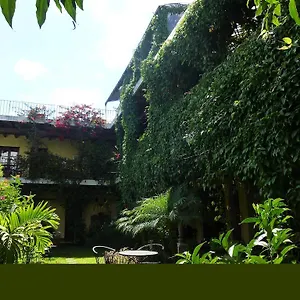 Vilaflor Guatemala