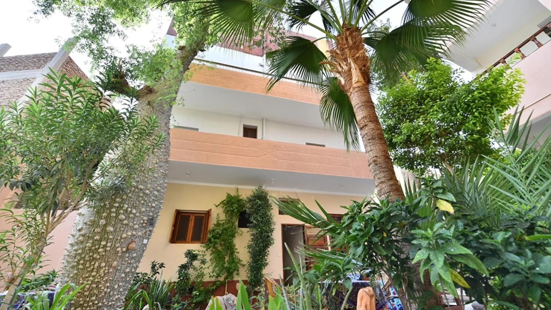 Amon Hotel Luxor 2*,  Egypt