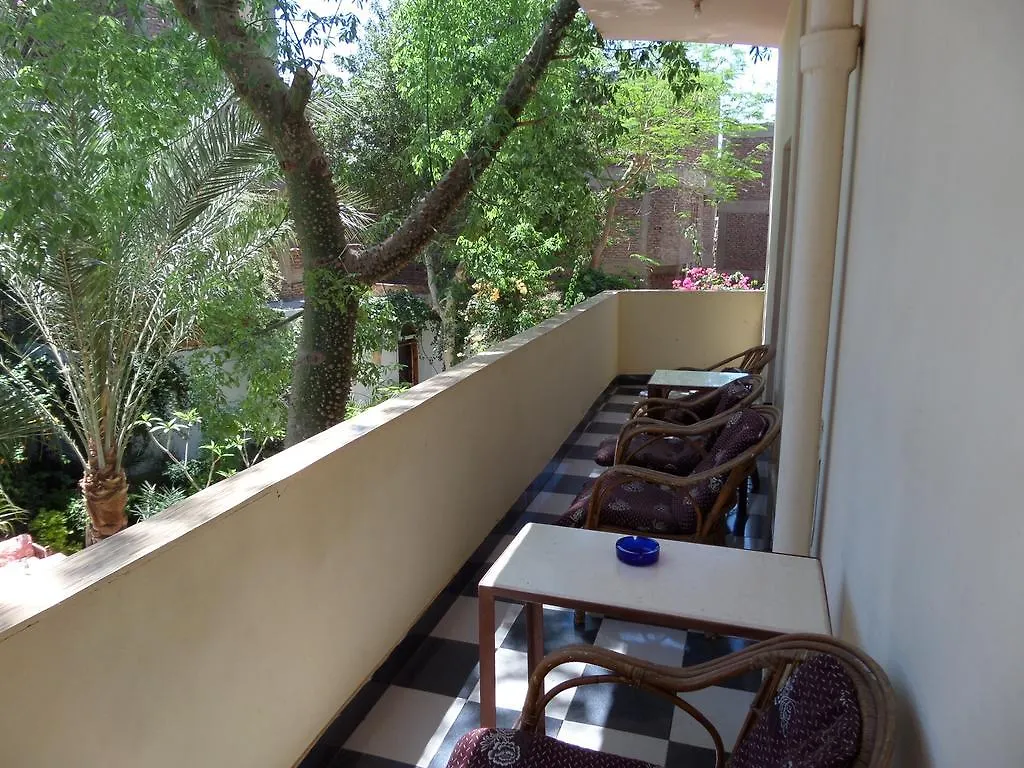 Amon Hotel Luxor