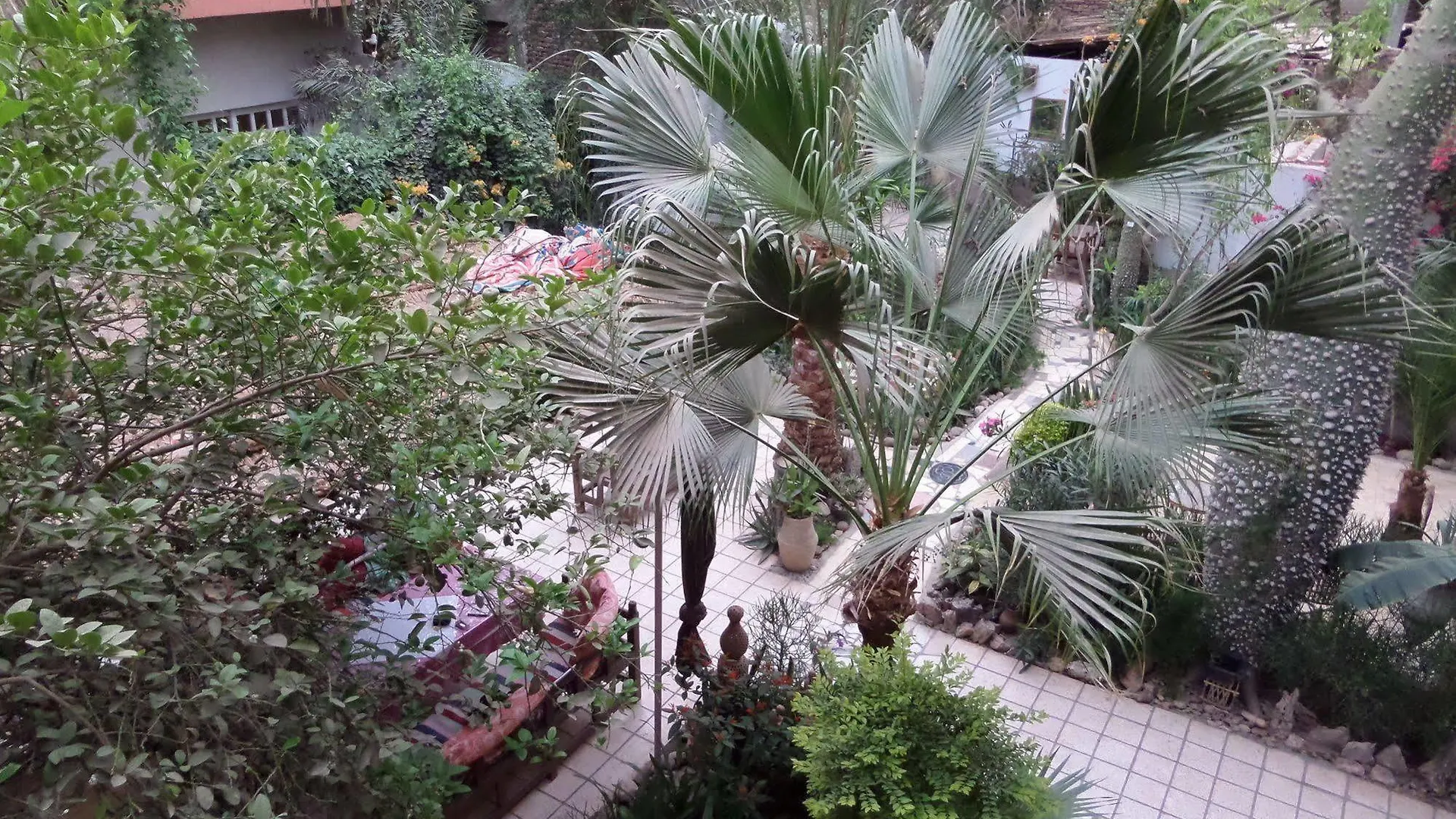 **  Amon Hotel Luxor Egypt