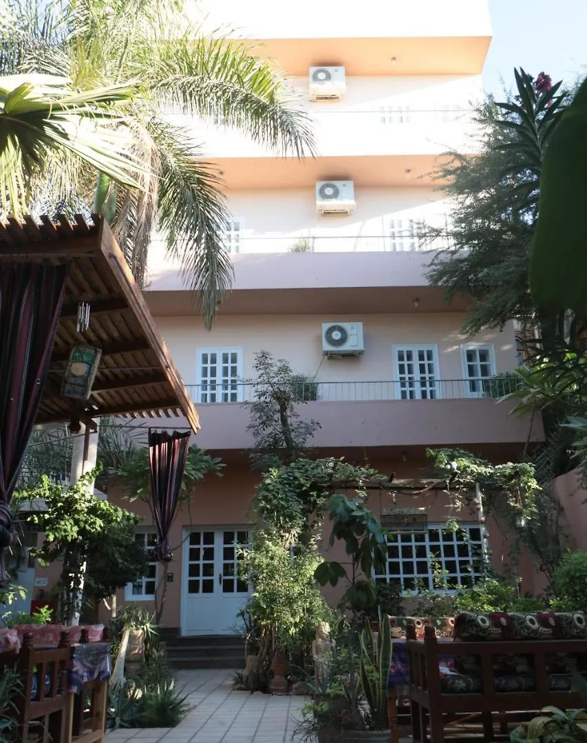 Amon Hotel Luxor